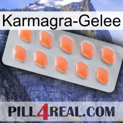 Karmagra Jelly 26